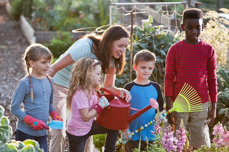 Homestead-Gardening