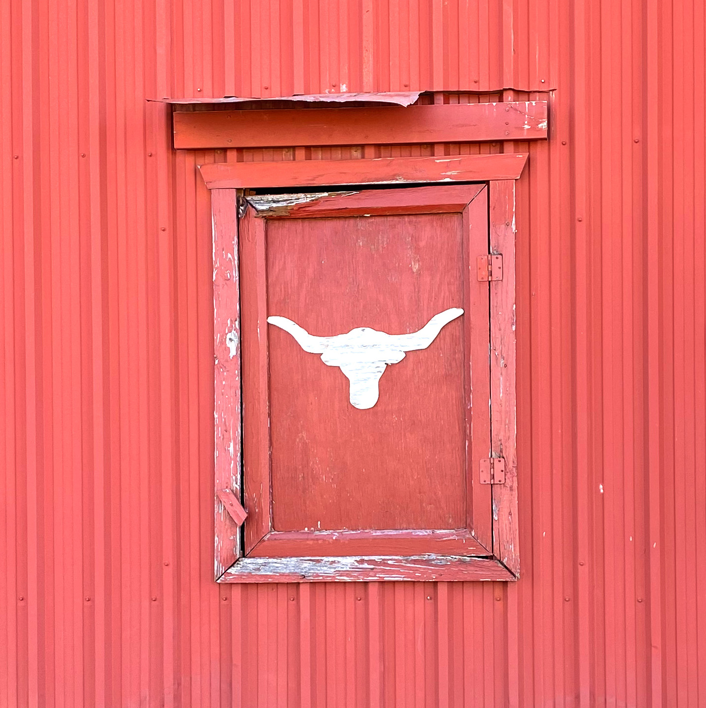 Longhorn barn edit - Photo Jan 12, 1 59 28 PM