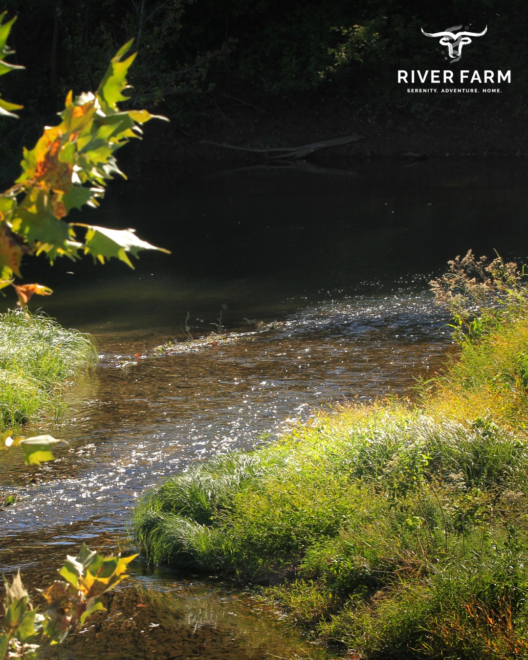 Life by the water is calling! Our community sits along the scenic Lampasas River, which will give residents easy access to nature, peaceful river views, and endless outdoor activities. Discover our planned community at the link in our bio. #RiverFarm #BeltonTX #BeltonTXRealEstate #BeltonTXNewHomes #BeltonISD #PaintedSteer