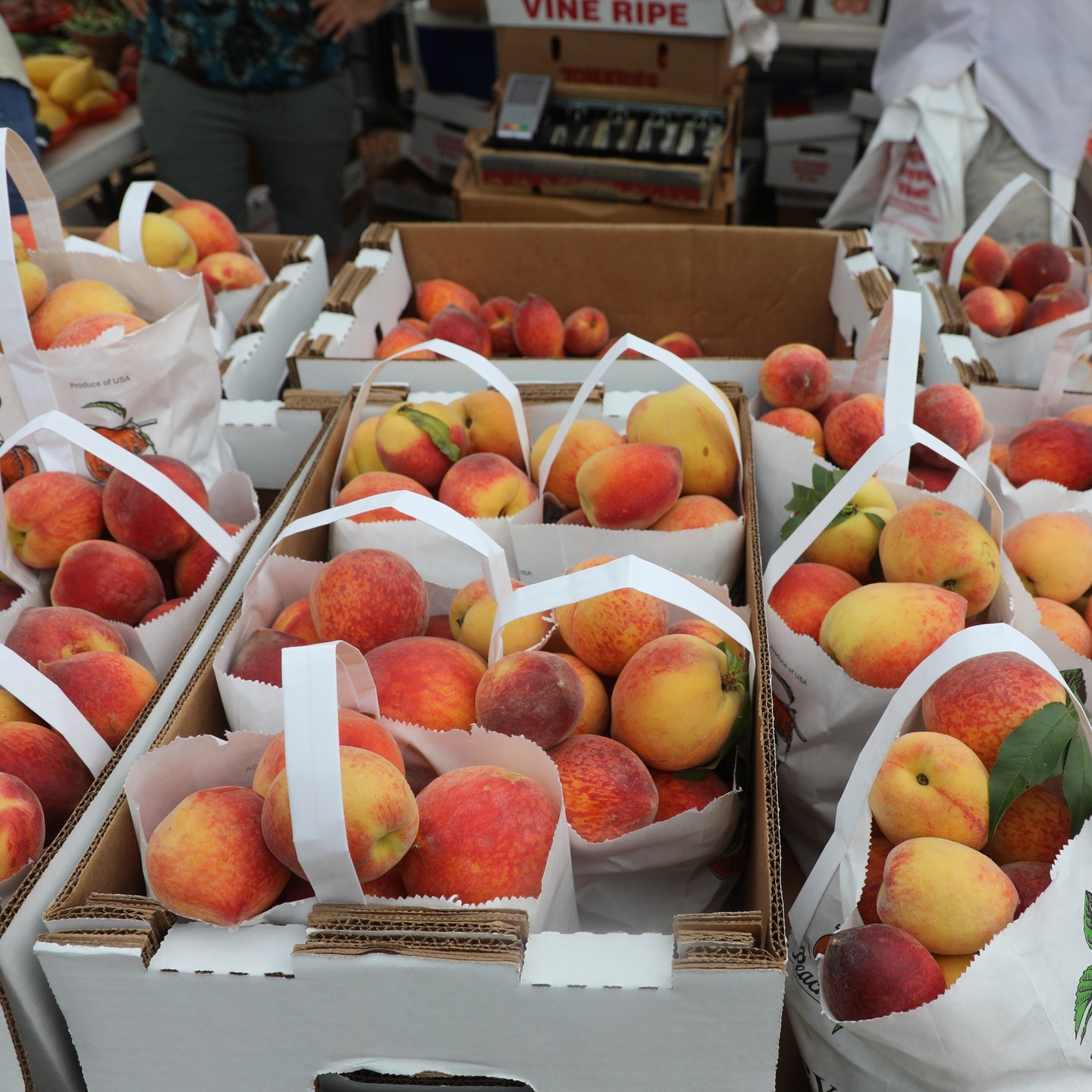 The Temple Farmers Market is back at West Temple Park! Grab some fresh produce, local honey, homemade goodies, and more all from our amazing community farmers. Support local and enjoy a fun weekend vibe!  📸: @discovertemple See more at discovertemple.com. #RiverFarm #BeltonTX #BeltonTXRealEstate #BeltonTXNewHomes #BeltonISD #PaintedSteer